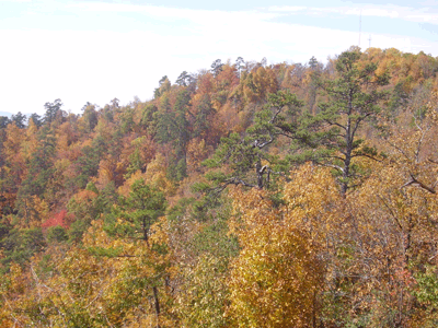 HS_overlook_hillside.gif